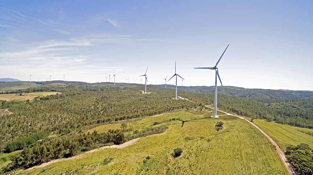 Read more about the article Using Drones for Environmental Conservation