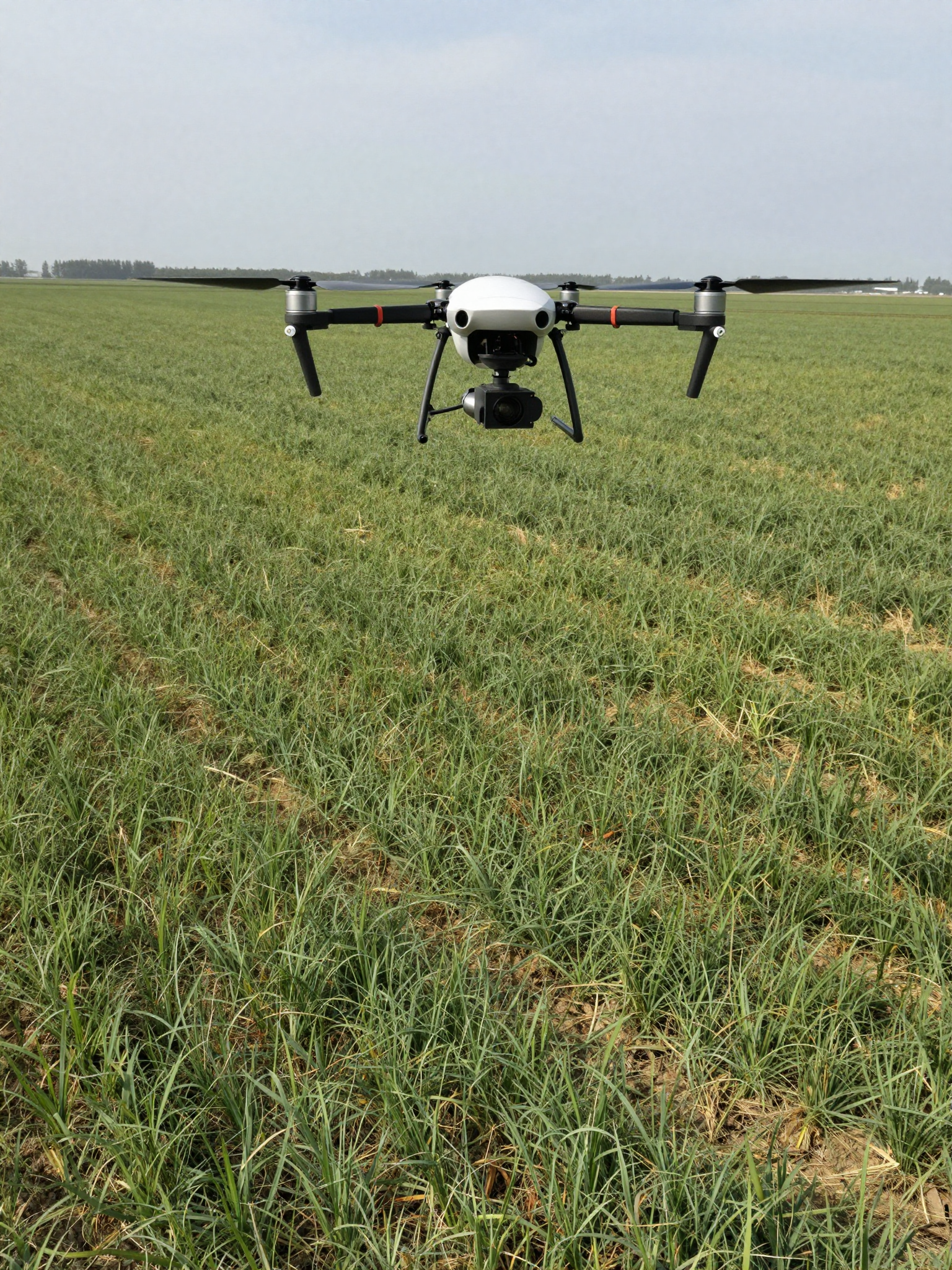 Photogrammetric Survey